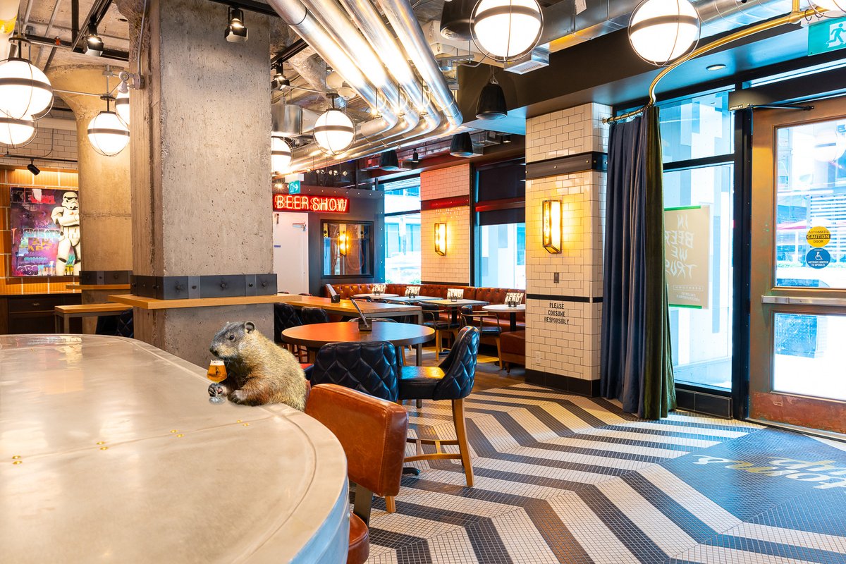 Looks like someone decided it was time to change this year’s trajectory!

See you today for a pint of something sudsy!🍻

#beertownpublic #groundhogday #drinklocal