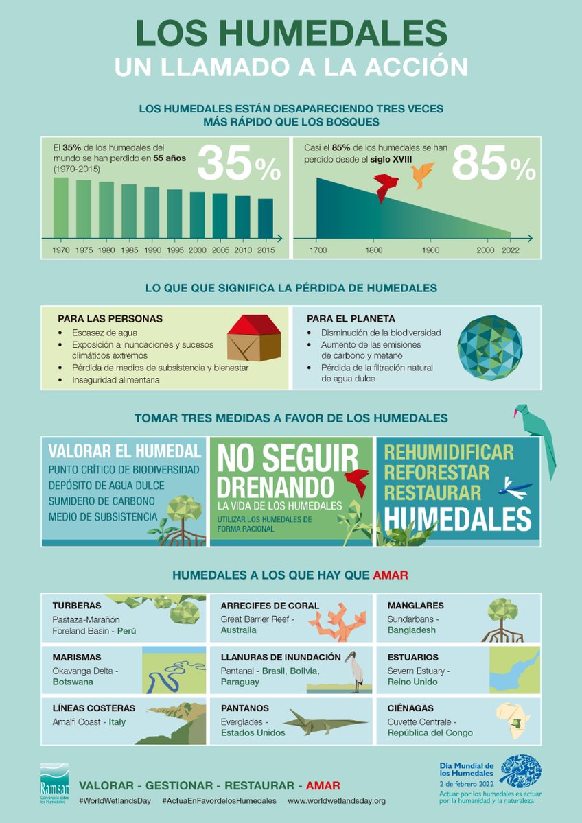 ¿Sabías que los humedales están desapareciendo tres veces más rápido que los bosques? 
En esta infografía de contamos como puedes valorar, gestionar, restaurar y amar estos ecosistemas. 
#ActuaEnFavordelosHumedales #DíaMundialdelosHumedales