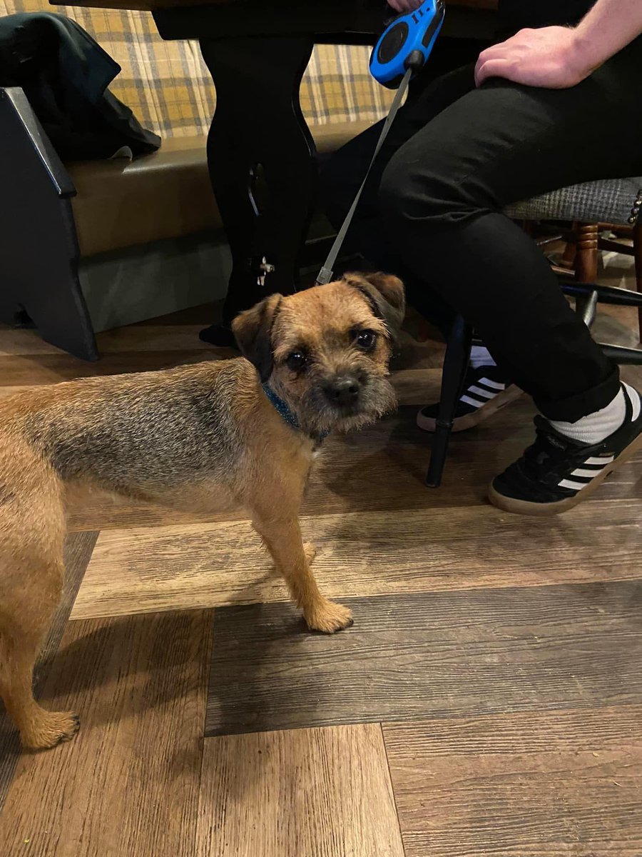 We always get lots of messages asking whether or not we are a dog friendly pub, the answer is of course we are!

We are so lucky to be situated in a countryside location, next door to Burrs Country Park, we couldn’t not welcome your furry friends 🐶

#thegarsdale
#dogfriendly