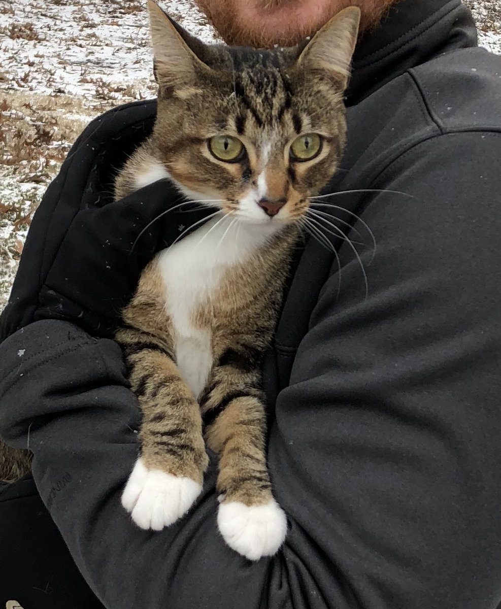SladeFerguson's tweet photo. If anyone in/around Green Oaks area comes across Bill, please let me know. He decided to camp out last night and now we cannot find him. @ochsms #PawAlert https://t.co/DhrNfSJdjk