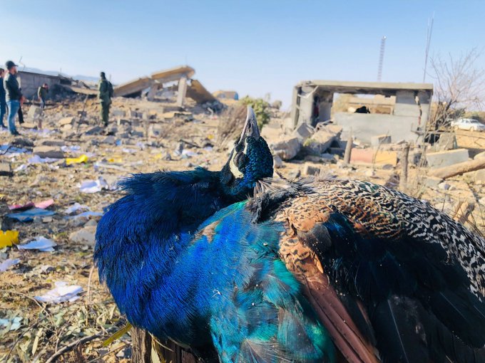 Dijminahiya wan tu sînoran nas nake. Pergala wan pergala komkujiyê ye. Dijminê jiyanê ne, tu nirxên mirovahiyê nas nakin, bi balefiran êrişî kampên penaberan, bajar û gundan dikin. Êrişên li Şengal û Mexmûr û Dêrikê hovîtiya wan, rûreşiya hemû cîhanê ye. Şermezar dikin.