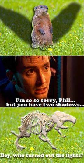 FunkErunky's tweet photo. No shadow: early Spring
1 shadow: 6 more weeks of Winter.
2 shadows: I'm so so sorry....

#GroundhogDay https://t.co/EUmjMDUG9v