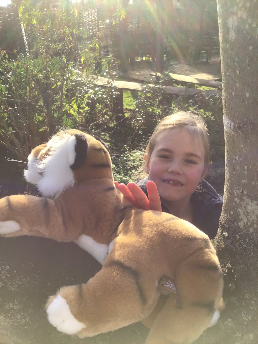LaxtonJunior's tweet photo. Breaking news! Year 2 discovered that some Kenyan animals had made their home in the Woodland Garden. Such excitement as even Lennie the Leopard from Lilford House joined in the fun! #WeAreLJS #Lilford #TheBigFive #Kenya #Opportunity #LJSYearTwo https://t.co/CBTnowZOu0