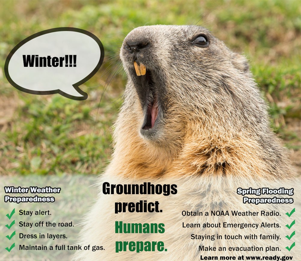 FEMAregion3's tweet photo. Prepare...without a shadow of a doubt. Stay alert and be ready for all weather. #PunxsutawneyPhil predicted six more weeks of winter, so learn more at https://t.co/lKW7WAQsSu
 #GroundhogDay https://t.co/x0vaxtJMhI