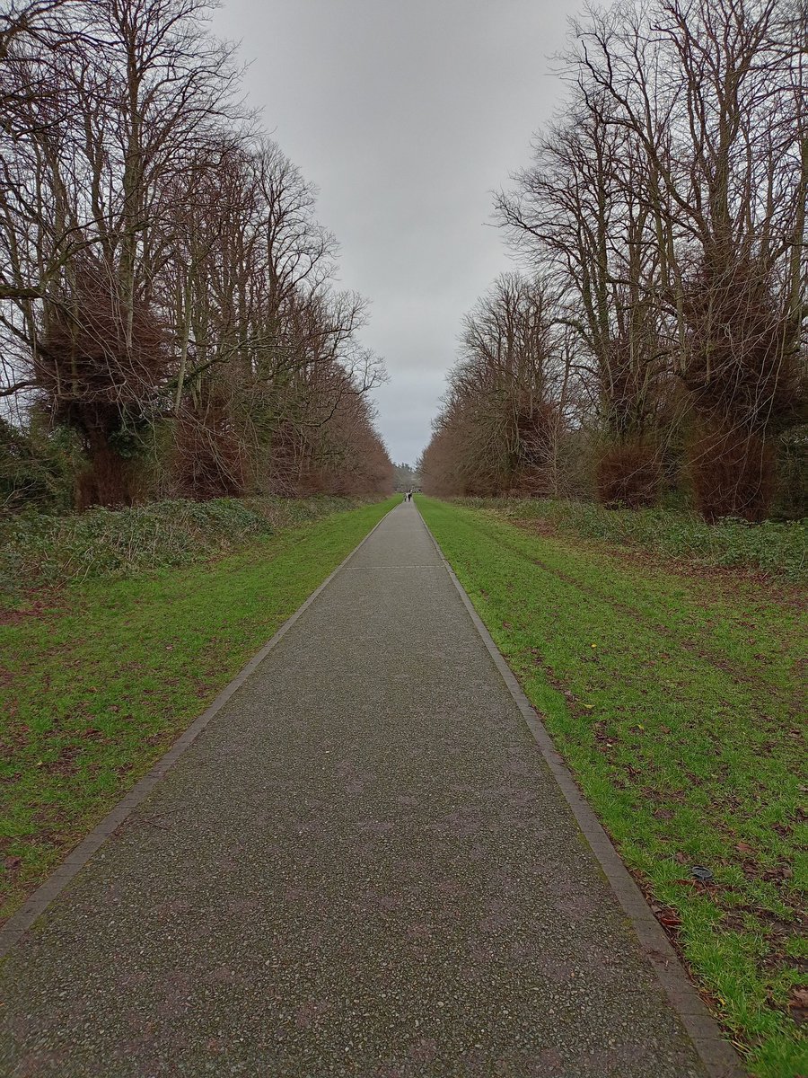 BettinaRezania's tweet photo. Day 33 of #100daysofwalking day 1081 of #1100daysofwalking https://t.co/f9KZeqB5GU