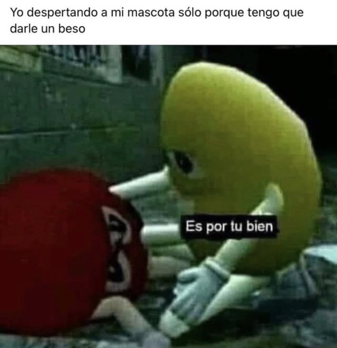 El Rey de los Memes (@leking_meme) on Twitter photo 