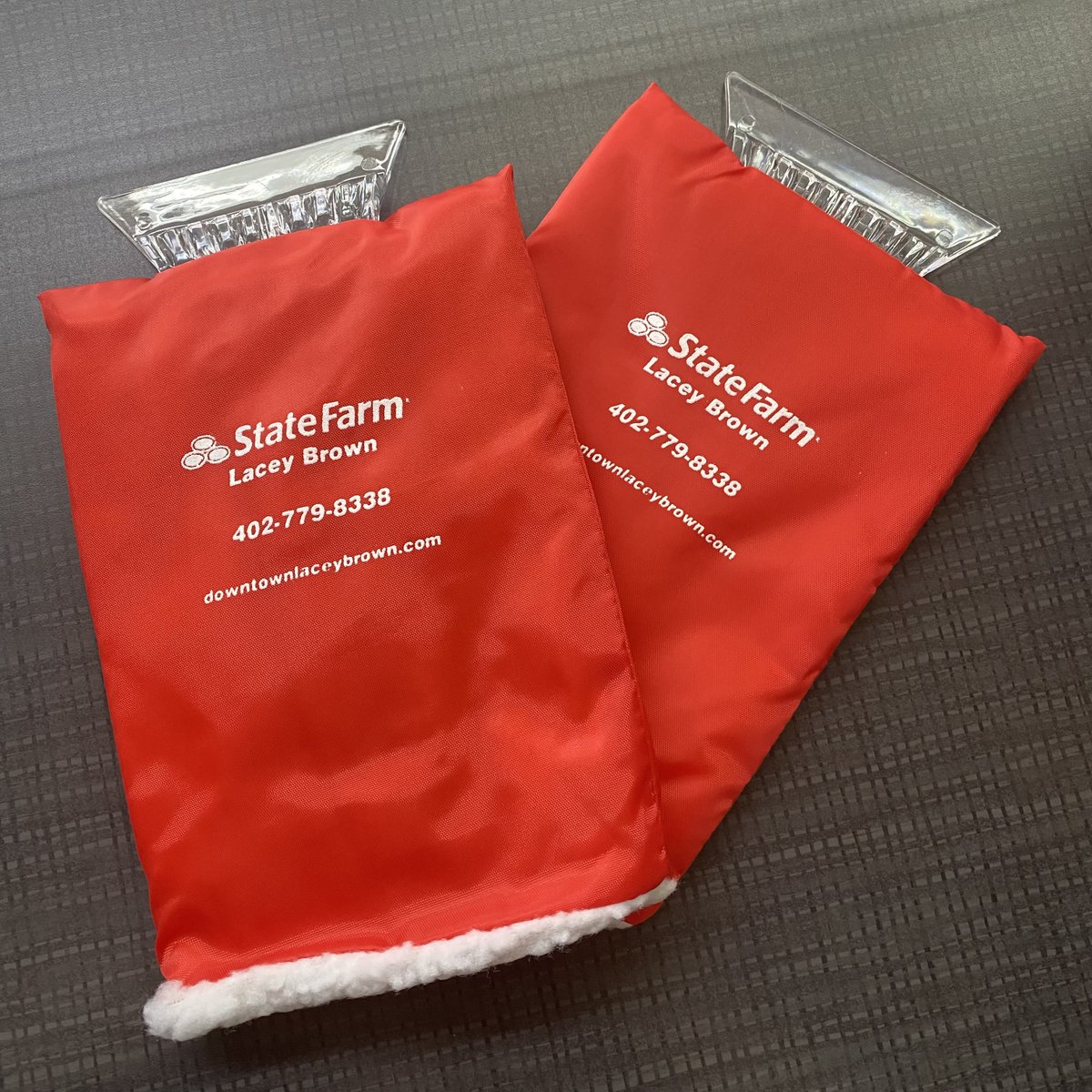 It doesn't  matter what Punxsutawney Phil says about how much more winter we have left!   You can keep your paws warm with these ice scrapers from SignIT. #SignITdoesIT
