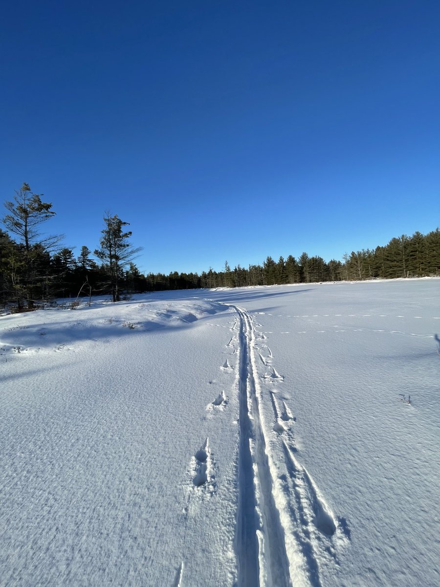 jenn1662's tweet photo. Posting my happy place on a rainy dreary day in Muskoka. Looking forward to cold temps and the return of the sun!
I hope the sun is shining on you 😘😘 be well, safe and happy!
Peace out ✌️ 
#Muskoka https://t.co/8PaT1X922A