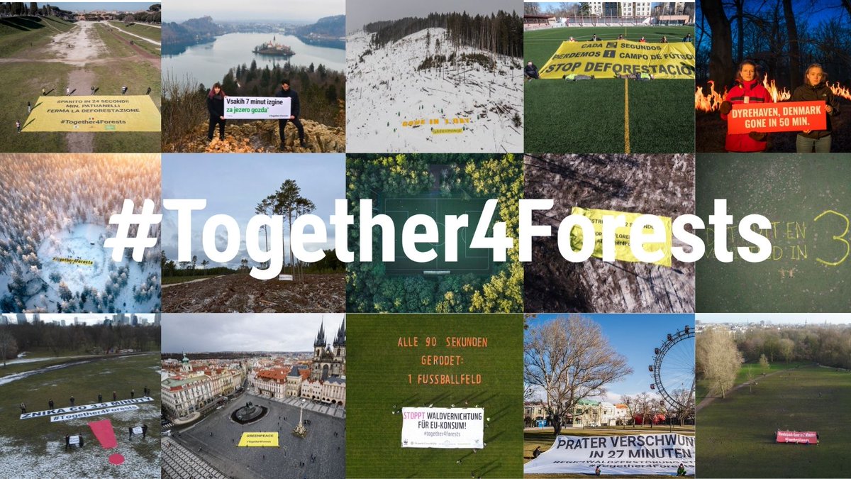 WWFEU's tweet photo. From Sweden to Romania, activists have been protesting this week across 14 countries against EU-driven #deforestation

Their message is crystal clear: Nature destruction must be off the EU market!✊🏼

#Together4Forests 👇🏻
https://t.co/AA7Xn9NB5P https://t.co/IGAbwYMZvD