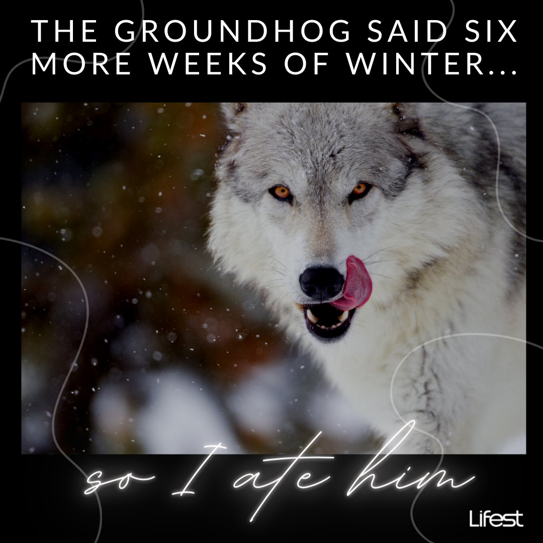 Are we surprised?
#GroundhogDay #Lifest #LifestOshkosh #LifestMusicCity #Lifestie