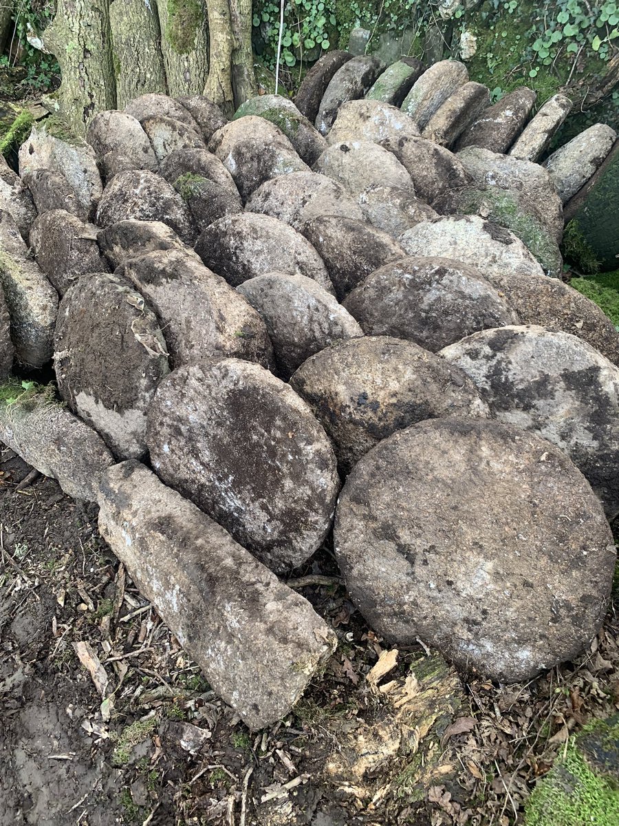 Longwool tweet media