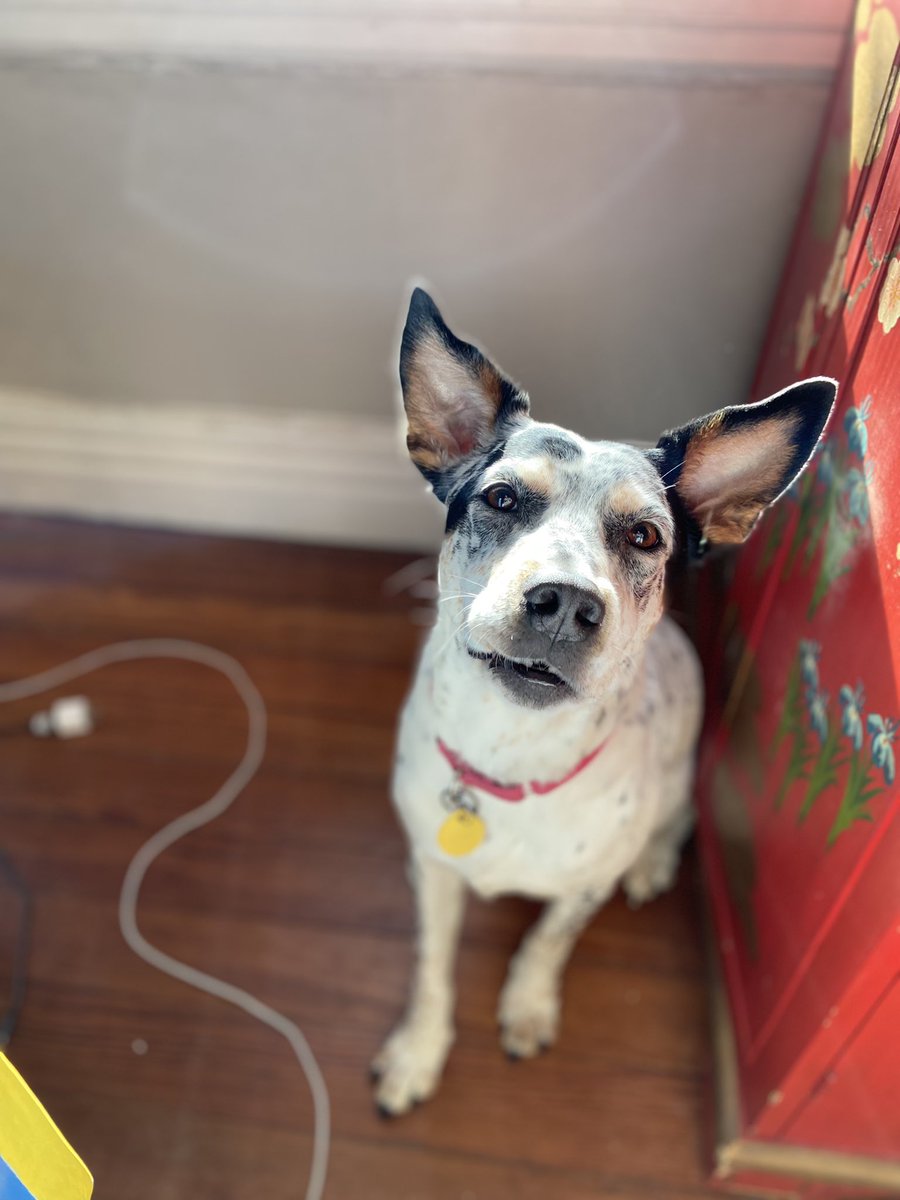 Becky Robison tweet media