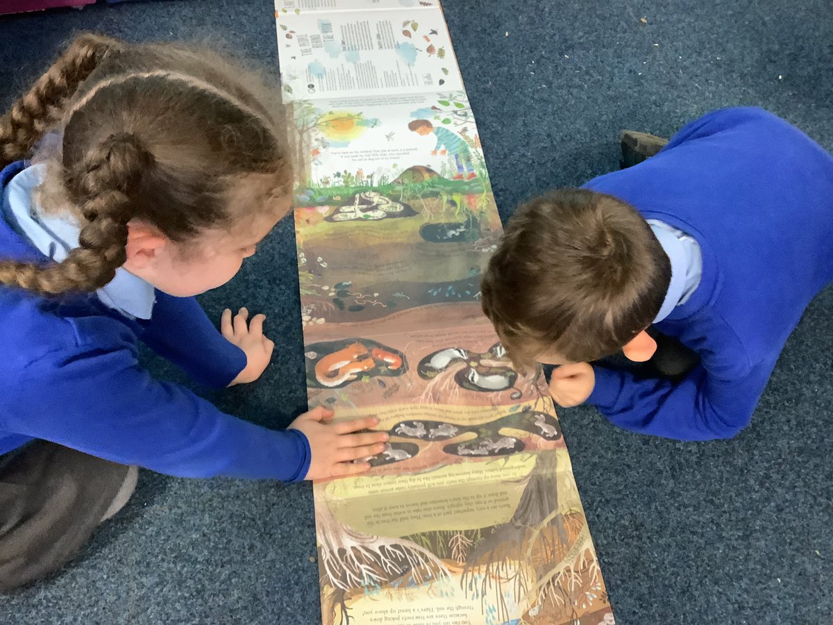 oli_primary's tweet photo. Year three started their new science topic by exploring disciplinary reading books and key vocabulary linked to Rocks and Minerals. #tigtag #readlikeascientist @DeputyOLI @csergeant3 @AlaineSanders14 https://t.co/7niagtJ4D5