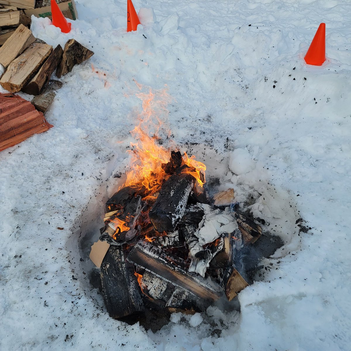 Ashlyn Sulis tweet media