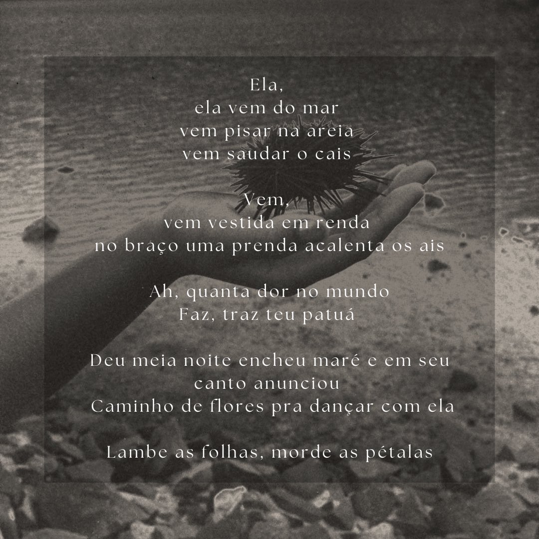 zenigro's tweet photo. Viva o dia dela!

C A I S 

Na voz de Alessandra Leão 💙✨

está em todas plataformas! https://t.co/Q2WkSGI5Iq