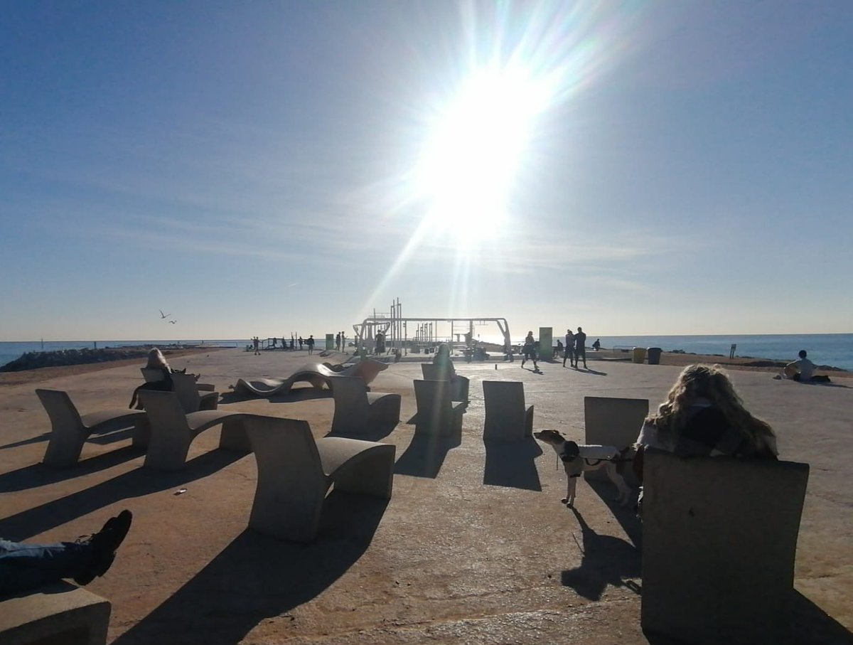 I mean you can hardly call it #winter this year in #Barcelona, daily highs of 18°c 64°f safejourneybarcelona.com