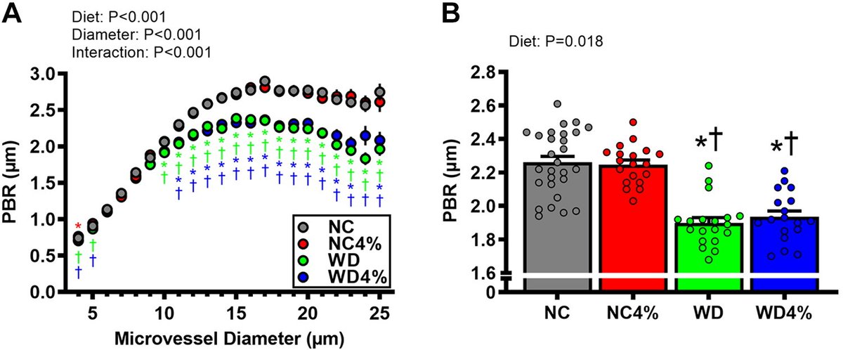 ajpheartcirc's tweet photo. FREE Article of the Week 🔓 reveals #HighSaltDiet lowers #microcirculatory & glycocalyx properties and #WesternDiet augments glycocalyx barrier function and thickness. There are distinct microcirculatory adaptations when combining both diets
https://t.co/pITc5svWRG @floridastate https://t.co/kPUPl9sVOa