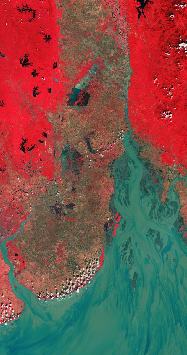 ESA_EO's tweet photo. On #WorldWetlandsDay let's explore some of #Earth's  beautiful #RamsarSite locations: 

Danube Delta, Romania and Ukraine
Lake Mar Chiquita, Argentina
Doñana National Park, Spain 
Moeyungyi Wetland Wildlife Sanctuary, Myanmar

#EO data can help us protect these ecosystems. https://t.co/F51Ldw3cwF