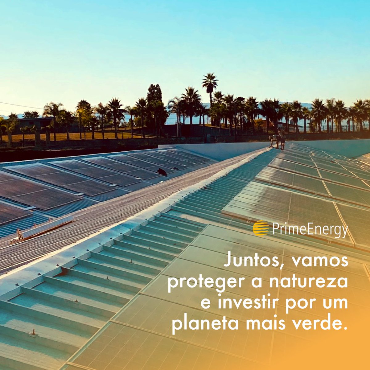 premiumenergyPT's tweet photo. Invista conosco, por um planeta mais verde! 

#energiasolar #energia #energiarenovavel #fotovoltaico #primeenergy #portugal #sustentabilidade #solar #solarpanels #renewableenergy #renewableenergysystems #descarbonizacao https://t.co/1ZTHcmbUJT