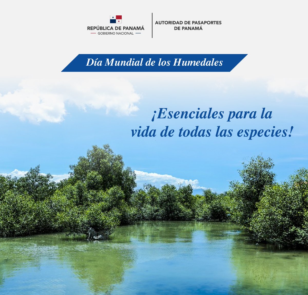 PasaportePma's tweet photo. ¿Sabias que Panamá cuenta con 5 humedales de importancia internacional, con una superficie de 220,737 hectáreas?. Es importante conservarlos. 

#DiaMundialdelosHumedales
#UnidosLoHacemos https://t.co/OXIqbKMIjn