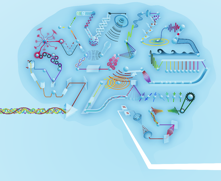 Our physical neural networks paper published in @nature last week.  The main message: Everything can be a neural network (and can be trained efficiently with backpropagation). 
In light of common reactions/questions, a commentary 🧵 on key ideas, limitations, and futures. 1/n