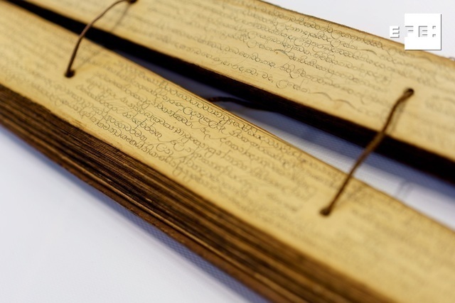 EFE Canarias tweet media