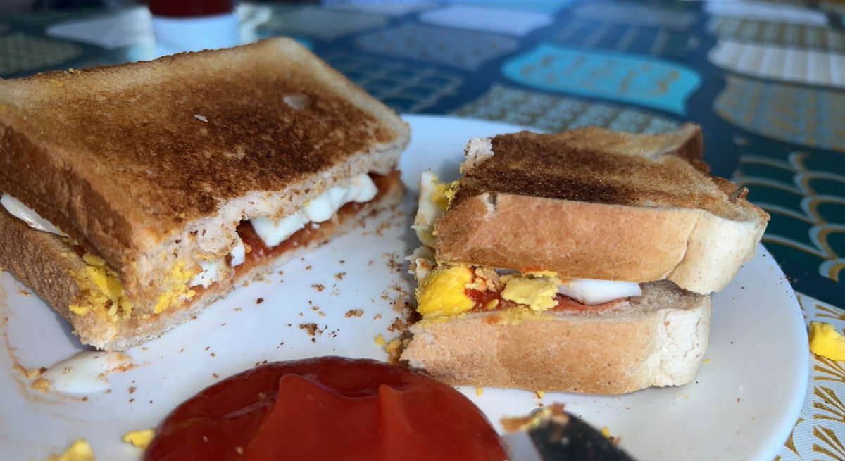 SarahCulhane4's tweet photo. breakfast v lunch #goatstayinghealthy #goats4life https://t.co/gD5lVb6Q4v