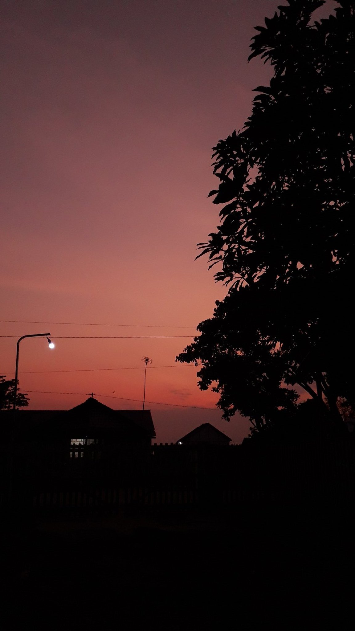 Happy birthday Cho Kyuhyun    