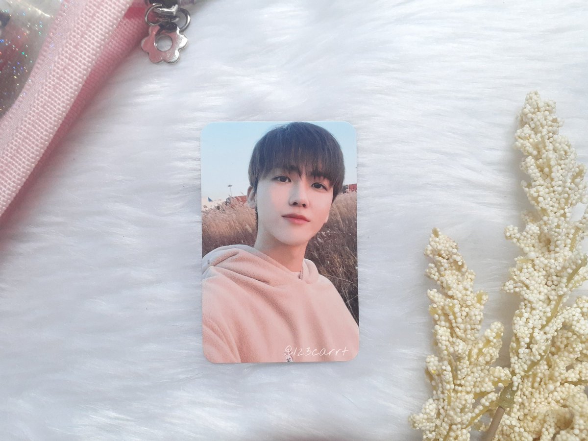 123carrt's tweet photo. —💌 #ystllmails 

umuwi na si jaemin la presa pc, super pretty naiiyak ako haha!! thank you so much for messaging me talaga till next time 😭🤍#SCSales_feedback @jaeminsales https://t.co/XodAPJn2Q5