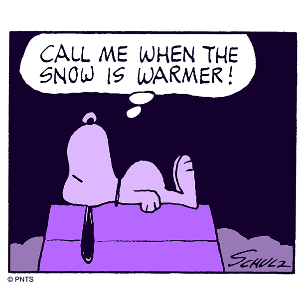 PEANUTS on Twitter "I prefer the warmer months GroundhogDay https//t