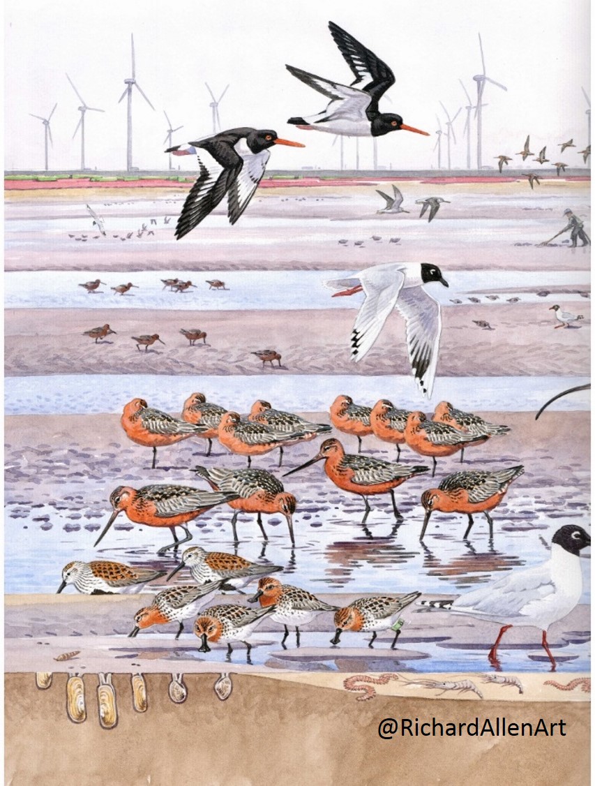 nicola crockford (@numenini) on Twitter photo On #WorldWetlandsDay #WorldWetlandsDay2022 announcement of start, on 10 Feb, of establishment process for World Coastal Forum a major initiative to support govs (local & national) & stakeholders to #ActForWetlands to implement <a href="/SDGoals/">Global Goals Gazette</a> #post2020 global #biodiversity framework etc On #WorldWetlandsDay #WorldWetlandsDay2022 announcement of start, on 10 Feb, of establishment process for World Coastal Forum a major initiative to support govs (local & national) & stakeholders to #ActForWetlands to implement <a href="/SDGoals/">Global Goals Gazette</a> #post2020 global #biodiversity framework etc