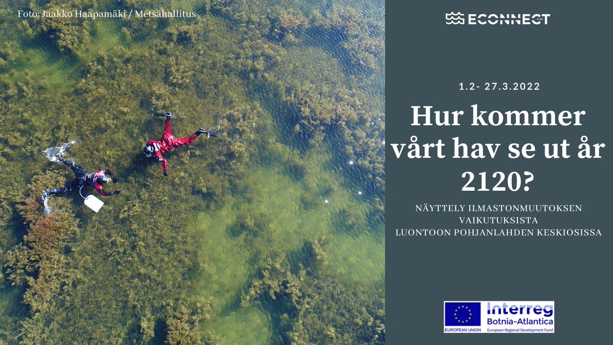 Hur mår centrala Bottniska viken i framtiden?
ECOnnects utställning i Världsarvsporten är nu öppnad!
ECOnnectin näyttely Maailmanperintöportilla on nyt auki! 
Replot/Raippaluoto 1.2-27.3.22