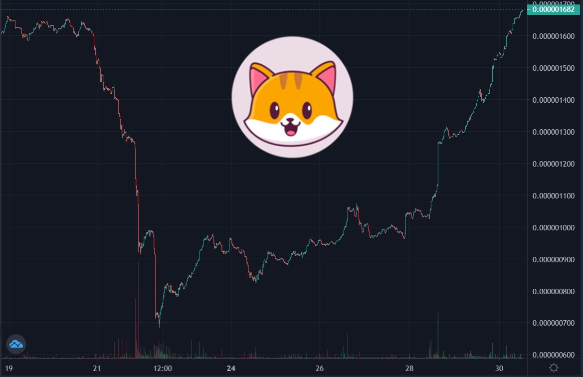catecoin's tweet photo. Rise of cats 🐱 #catecoin 🚀 https://t.co/uEeprQZPoV