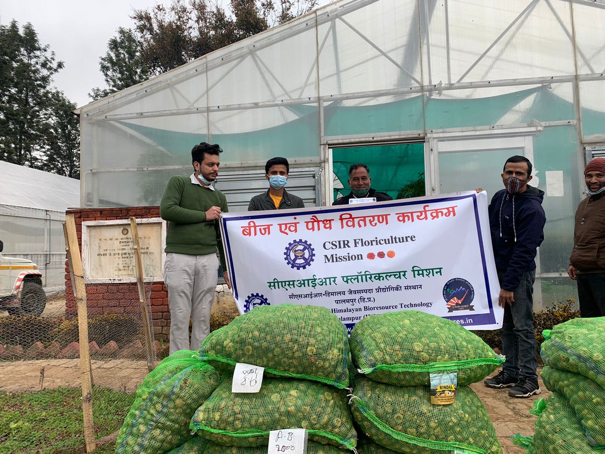 CSIR-IHBT, Palampur distributed more than one lakh quality planting material of Gladiolus (1,44,000 corms) Gerbera (20,000 plants)