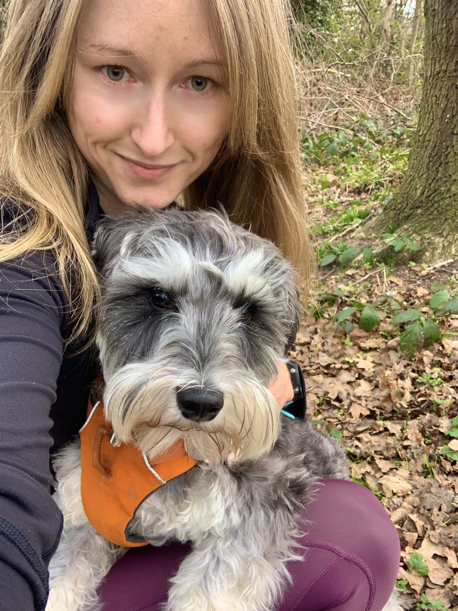 Atkins_Ashley's tweet image. My running buddy keeps me on my toes - today he forced me to hurdle over him as he stopped suddenly to smell a leaf 😐
.
.
.
#runsome #runningmayor #schnauzer #canicross #walkthedog #running