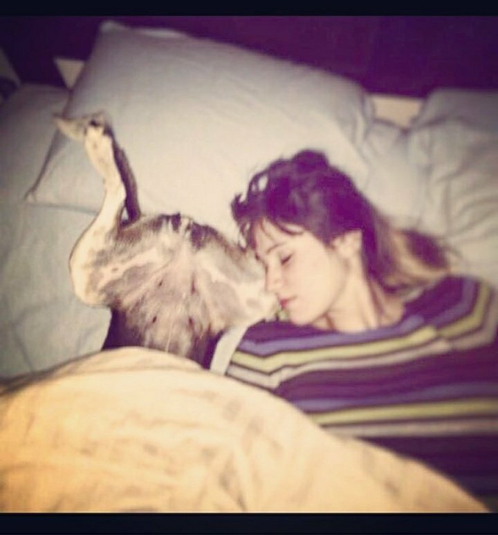 Feliz día de la Candelaria 🐶💞. 
Esperamos que coman muchos tamales hoy 🤭😄.
<a href="/haashoficial/">Ha*Ash</a> #HaAsh #Cande #Candelaria #DíaDeLaCandelaria