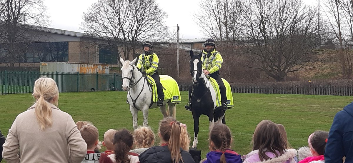 Mounted section SYP visit to Wath Central junior school. Educating all pupils in relation to role within SYP
#OpDuxford
#communitypolicing
@PC_Reed