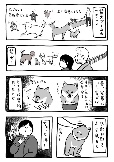 トラウマ🐕 