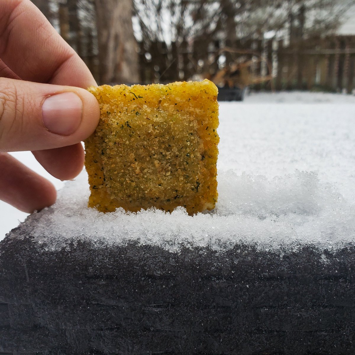 chewinthelou's tweet photo. Weather update: currently sitting at less than half a rav of accumulation of mostly sleet in the mid-county area as of 9am. What about in your area? #stlwx https://t.co/dHVqbC09yQ