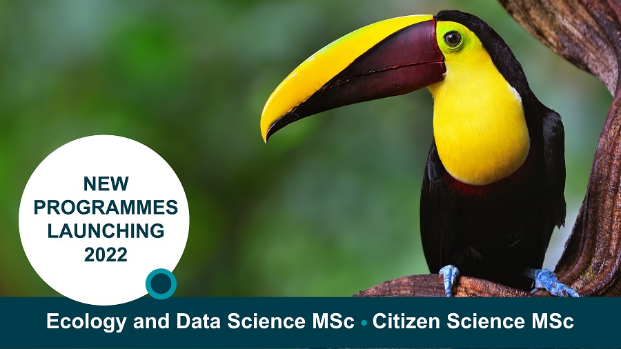 #CitizenScience is becoming increasingly professionalised so we've launched a new programme to address the skills gap. Find out about our exciting, new MSc degree at our next info session on 1st March. Sign up here: bit.ly/3ofT3g3  <a href="/ProfKateJones/">Kate E. Jones 🦇</a> @mhaklay <a href="/JimLabisko/">Jim Labisko (no longer posting here)</a>