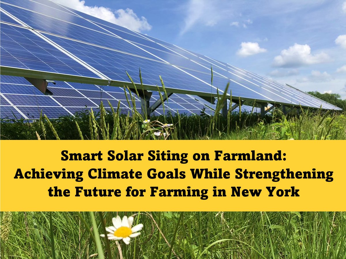 FarmlandNY's tweet image. American Farmland Trust released a new report on how to expand #solar energy generation while strengthening farmland protection and farm viability in New York, guided by research and stakeholder input. Learn more @farmlandinfo: farmlandinfo.org/publications/s…