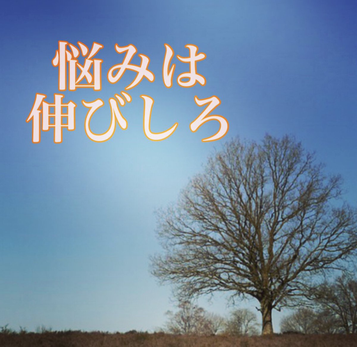 EMI32562420's tweet photo. 悩みに飲み込まれたら振り回されちゃうけど
視座を変えてみたら伸びしろでしかないって(*´∇｀*)

ノウハウの前に大切な事がある。

ブログ書きました。
https://t.co/vHTxkIznxm

#インスピレーション
＃シンクロ
#開運
#運気アップ
#幸せ
#声
#ノウハウ
#無意識
#悩み
#伸びしろ https://t.co/d6E6u1hXFX