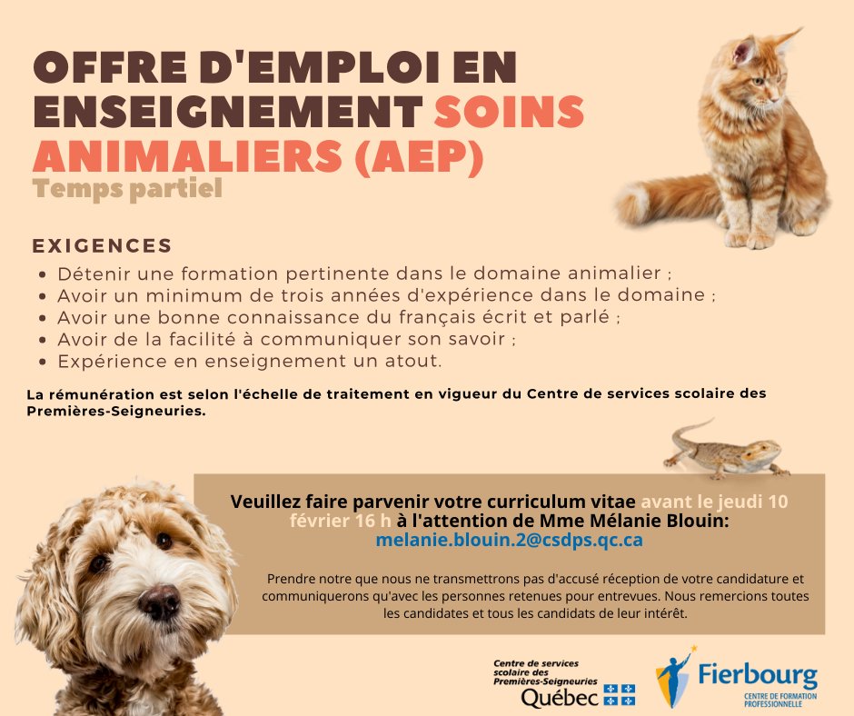 Faites vite ! Nous voulons votre cv avant le 10 février !
#enseignement #soinsanimaliers #animaleries #chiens #chats #formationcontinue #fierbourg #servicesauxentreprises