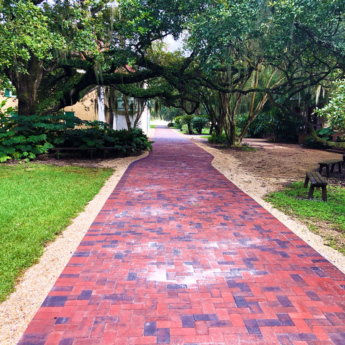 DestPlantation's tweet photo. Pathway to History.............
Tour Destrehan Plantation and learn about important events in history such as Louisiana's First Constitution, the 1811 Slave Revolt, and the Rost Home Colony run by the Freedman's Bureau. Visit our website to learn more at: https://t.co/aXyzfIyaT1 https://t.co/lqSvOlp9X3