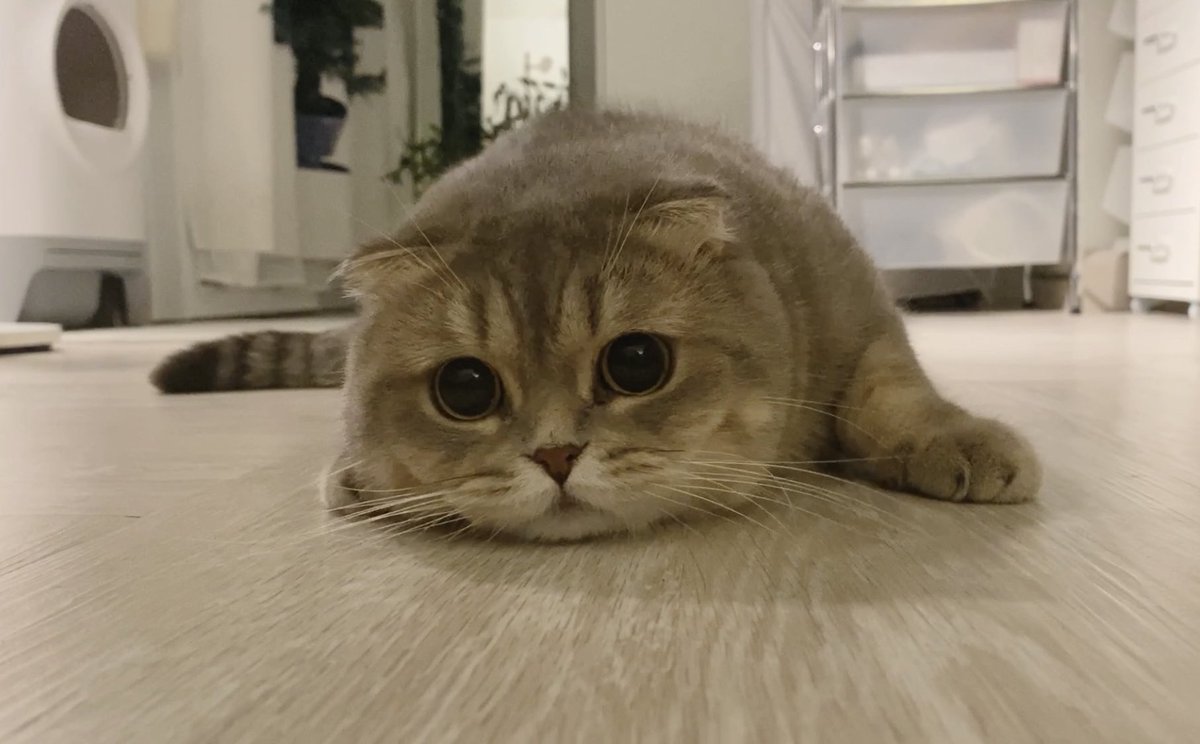 อุ๋งๆ 🦭