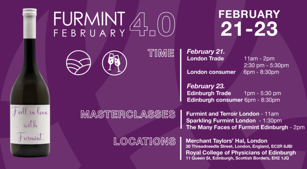 TheBuyer11's tweet photo. There's chance to take a whistle stop tour of Hungary and in particular explore its #Furmint variety as part of #FurmintFebruary tastings taking place in London and Edinburgh February 21-23.Details in image below. Registration here https://t.co/s0RHhdMrzH @ZToronyi @WineofHungary https://t.co/asEnDO64Jy