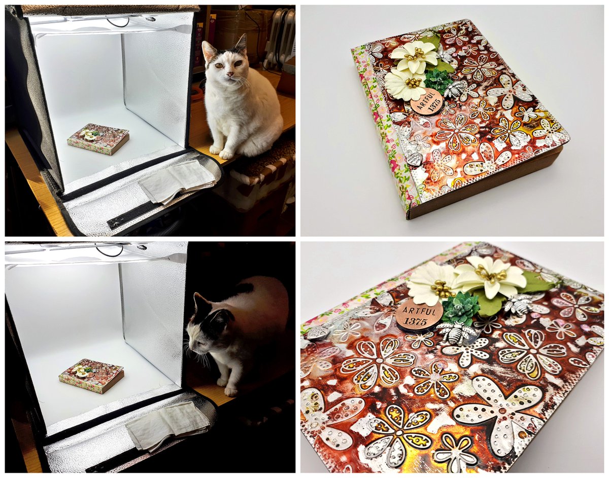 Bounty has been helping me photograph the latest collection of Altered Art books from Cherry ready to post in our online shop. She loves to be in front of the camera, but sometimes forgets it's not always her that should be in the picture
<a href="/OldDairyFarmNN7/">Old Dairy Farm NN7</a> 
#shoplocal #ShopSmall