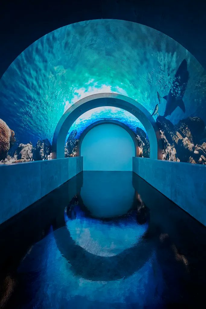 CharlieFink's tweet image. Visitors can explore 15,000 square feet of #VirtualReality and #AugmentedReality #art as well as a variety of #immersive physical installations.

This #VR #AR #ArtExhibit Is Environmentally-Friendly - VRScout bit.ly/3J2OFt9