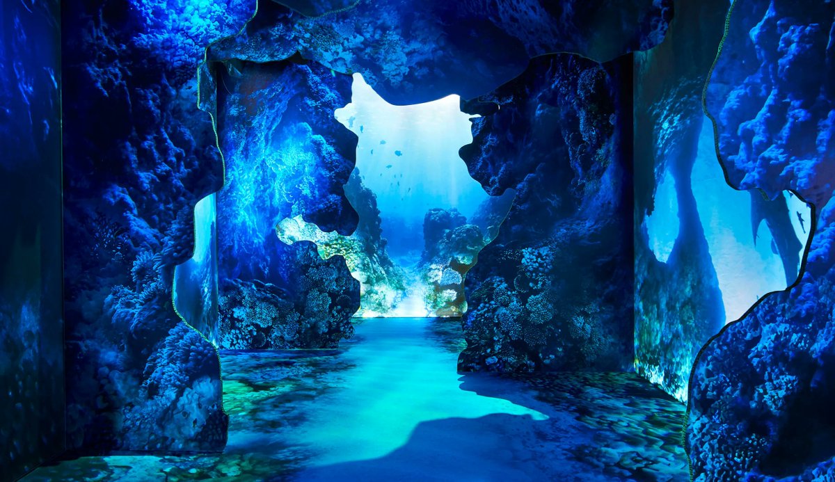 CharlieFink's tweet image. Visitors can explore 15,000 square feet of #VirtualReality and #AugmentedReality #art as well as a variety of #immersive physical installations.

This #VR #AR #ArtExhibit Is Environmentally-Friendly - VRScout bit.ly/3J2OFt9