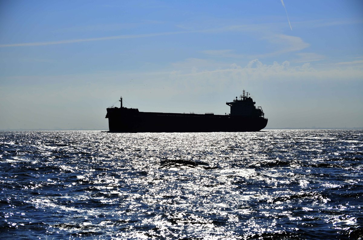 Register now for the online SkillSea seminars at 16 and 23 February via: lnkd.in/gMATdibn. This time we will talk about the Educational Packages 'Green Skills I' and 'Digital Skills II'. #maritime #education #training #seafarers